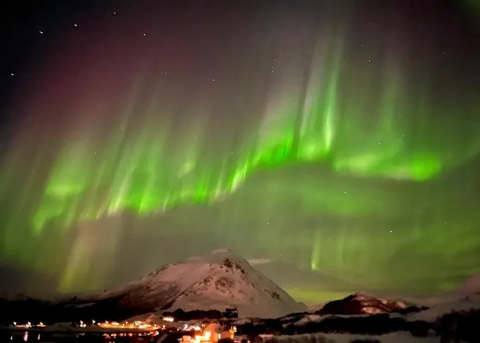 Alpstuga Lofoten Seazens Panorama Leknes